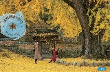 韓國慶尚南道及蔚山紅楓打卡地（含交通、紅楓時間、景點介紹）一鍵打卡熱門紅楓地!