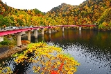 2025年10月去日本紅葉最開始的地方——北海道︱劄幌、洞爺湖、函館、小樽