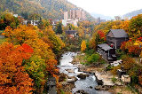 9月下日本開始進入紅葉季！十一假期日本哪裏能看到紅葉？