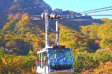 2025秋季推薦旅遊勝地——漫步韓國深山賞楓葉