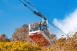 2025跟著韓劇去賞楓！解鎖京畿道秋日限定美景🍁