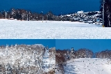 日本滑雪必去！札幌國際滑雪場粉雪體驗，2026包車一日遊推薦