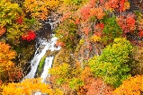 2h日本近郊遊,紅葉不輸京都,年年被當地人贊爆的性價比賞楓地!