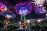 2025新加坡濱海灣花園：燈光秀+水舞秀攻略來啦