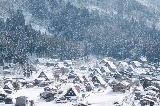 不愧是降雪量豐富的雪國，不用大老遠跑去北歐，來日本就有美成童話的雪景！