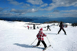 日本滑雪自由行攻略：如何選擇雪場、體驗粉雪及規劃周邊景點（含溫泉攻略滑雪場地圖）