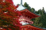 日本人氣賞風景點推薦！比叡山延歷寺紅葉與近江八幡水鄉風情一日行程推薦（含夜楓點燈）