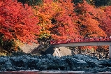 日本楓葉季節2025：香嵐溪紅葉祭、永保寺銀杏古寺、小原四季櫻節｜名古屋出發深度賞楓指南