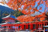 【2025楓葉季】日本比叡山延曆寺賞楓攻略：搭乘纜車漫遊紅葉名所與世界遺產！