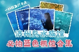 濟州島水族館10個必拍打卡點！碼住不虛此行！