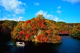 【日本紅葉溫泉終極攻略】北海道路線到關東5大絕景，2025秋日療愈之旅