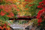 【日本紅葉溫泉特輯】2025秋：從修善寺到雲仙，5大絕景溫泉鄉漫遊指南