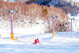 日本滑雪天氣查詢全攻略：3個精準掌握雪況的必備網站（2025最新）