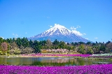 🔥2025 富士山登山全攻略｜新手友好版，跟著這篇避開 90% 坑！🔥（附最新收費政策 + 臺風季生存指南）