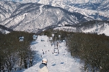 日本滑雪場全攻略：2025雪季六大雪場價格對比＆選雪場指南