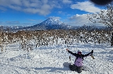26年二世古安努普利滑雪場（Annupuri）全攻略：小眾秘境的進階滑雪指南