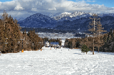 26年長野滑雪場推薦》日本新潟滑雪/白馬滑雪自由行（含雪場地圖、介紹、景點攻略）