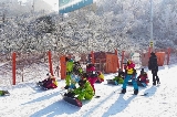 26年首爾 1.5 小時直達！維瓦第度假村（Vivaldi Park）滑雪攻略｜（交通、開板時間、導航、接駁車時刻表）