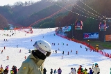 26年維瓦第度假村（Vivaldi Park）25-26 雪季終極交通攻略｜含高頻問題 Q&A❄️