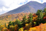 2025北海道紅葉季必去賞楓地大合集+交通攻略