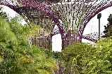 2025新加坡景點:植物園+美術館深度遊玩