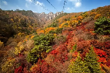 2025韓國賞楓時間及景點推薦!南怡島、內藏山、全州韓屋村等7大必打卡追楓秘境清單