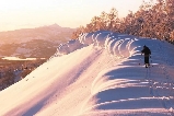 日本滑雪場如何選?資深玩家精選10大雪場,教你根據水平與需求精準挑選