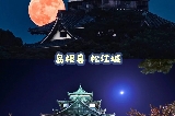 🌕 秋夜浪漫：日本必去的賞月名所