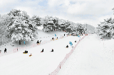韓國洪川滑雪》2025-26 大明維瓦爾第度假村滑雪團行程 / 住宿推薦