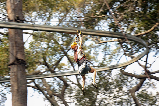 清邁 Jungle Flight:安全拉滿的全家歡叢林飛躍,穿越 1500 年雨林超治愈