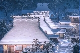 🇯🇵|2026京都美山町點燈時間公布啦!