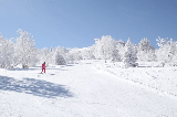 日本滑雪場必去清單🎿滑雪小白也能玩嗨!(含交通、接駁、周邊美食)