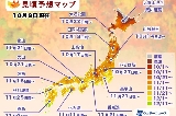 2025日本紅葉預測|較往年偏晚,5 大機構精準參考