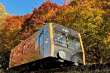 比睿山延歷寺賞楓｜登山觀紅葉與千年古寺