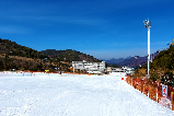 韓國伊甸園山谷滑雪接駁車時刻表及雪場雪道介紹