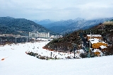 釜山伊甸園滑雪:超爽纜車 + 趣味雪橇,解鎖冬日快樂!