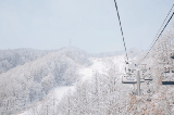 首爾 1h 飆到!韓國大明滑雪場:《藍海》同款 + 新手友好,冬季滑雪必沖