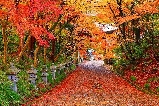 日本京都紅葉小眾景點推薦：唐風庭院與紅葉夜燈秘境