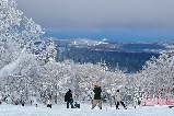 札幌國際滑雪⛷️山頂咖啡廳看海灣景超治癒