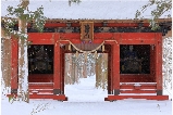 日本雪景天花板｜長野戶隱神社絕美雪國童話世界
