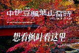 日本晚楓這裏正紅｜來修善寺抓住秋天的尾巴🍁