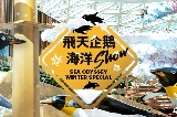 澳門美獅美高梅飛天企鵝海洋秀
