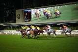 發掘香港賽馬運動--跑馬地馬場