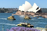 雪梨必打卡景點超詳細攻略