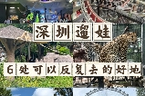 深圳親子遊攻略 帶娃不踩雷好去處