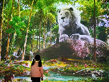 輪播圖片