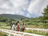 輪播圖片