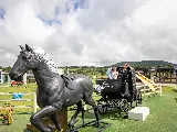 輪播圖片