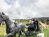 輪播圖片