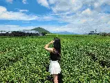 輪播圖片